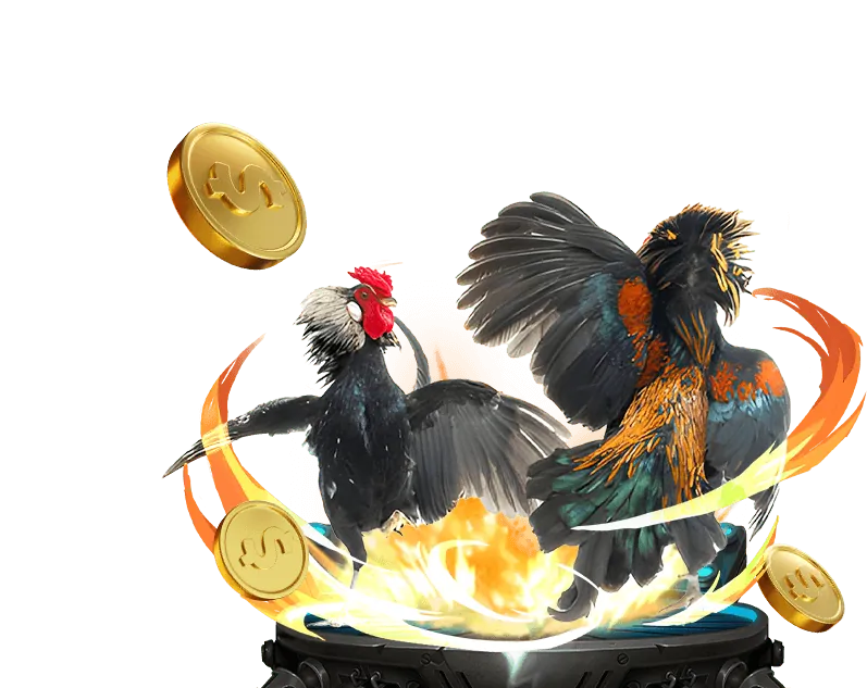 Đội ngũ chuyên nghiệp của liên minh OKVIP